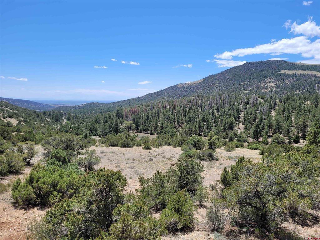 31999 Co Rd 43bb Road Property Photo 34