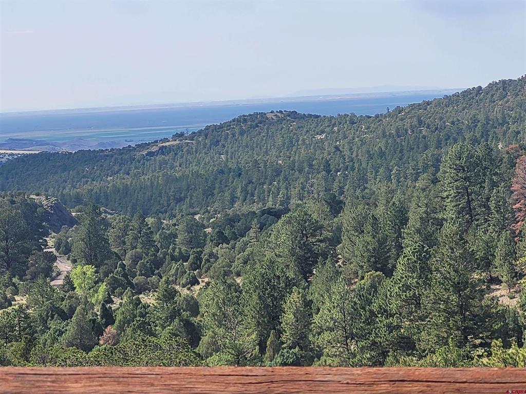 31999 Co Rd 43bb Road Property Photo 35