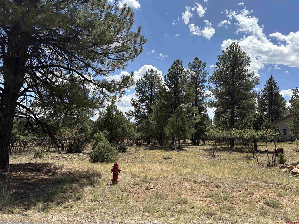 Tbd326 Bear Cub Drive Property Photo 1