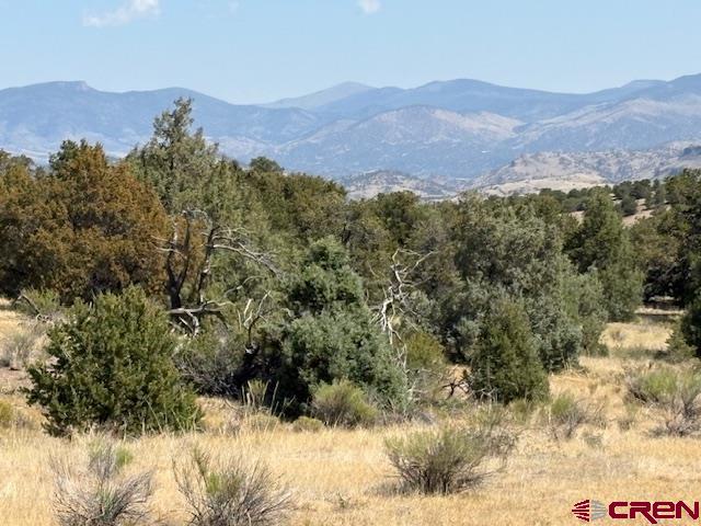 0 Pinon Hill Road Property Photo 1