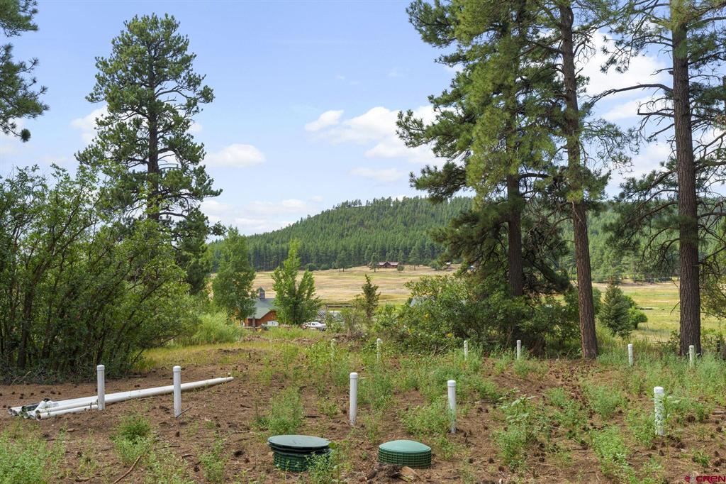 2828 County Road 502 Property Photo 1