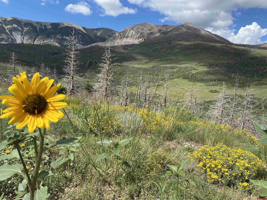 1833 Yellowstone Creek Road Property Photo 40