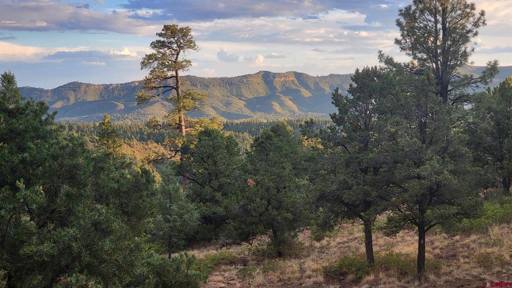 1680 Ridge Road Property Photo