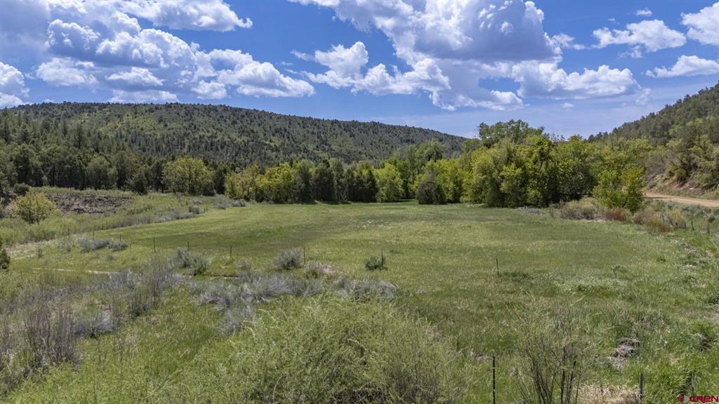 206 Shasta Trail Property Photo 7