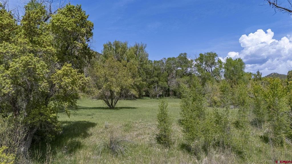 206 Shasta Trail Property Photo 33
