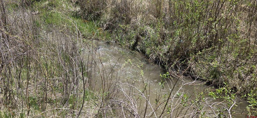 206 Shasta Trail Property Photo 41
