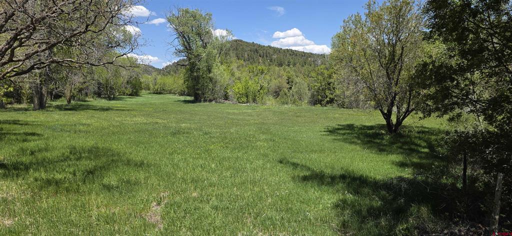 206 Shasta Trail Property Photo 42
