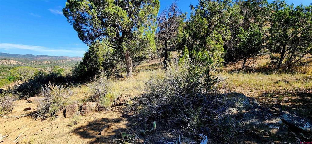942 Rainbow Road Property Photo 2