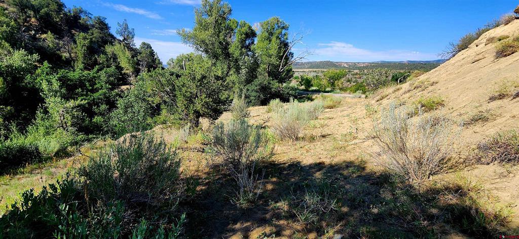 942 Rainbow Road Property Photo 4