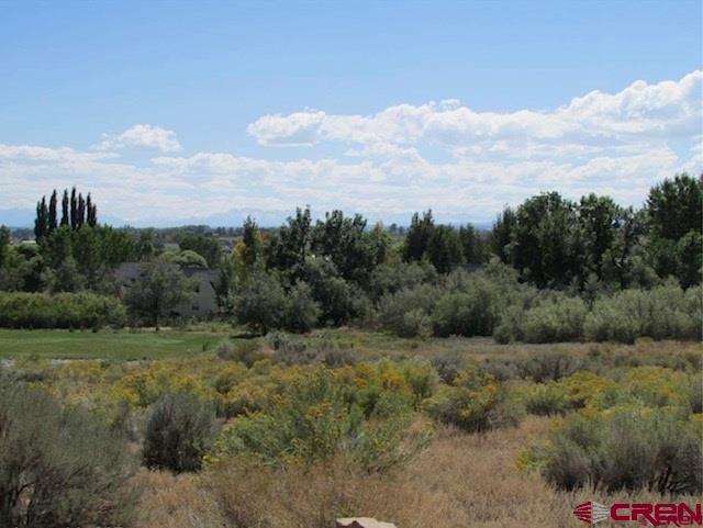 Lot 23 Eagle Heights Property Photo 10
