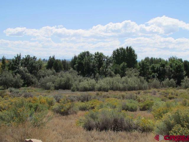 Lot 23 Eagle Heights Property Photo 11
