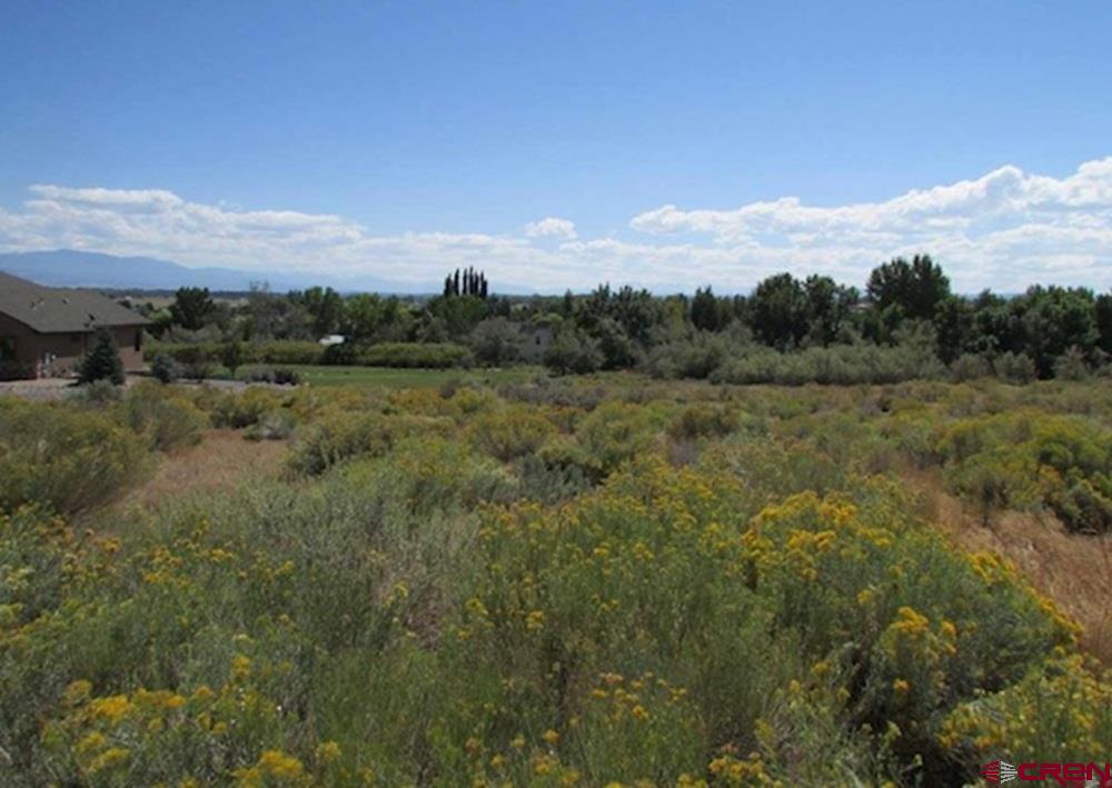 Lot 23 Eagle Heights Property Photo 14