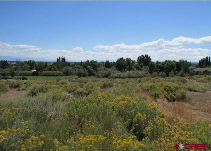 Lot 23 Eagle Heights Property Photo 17