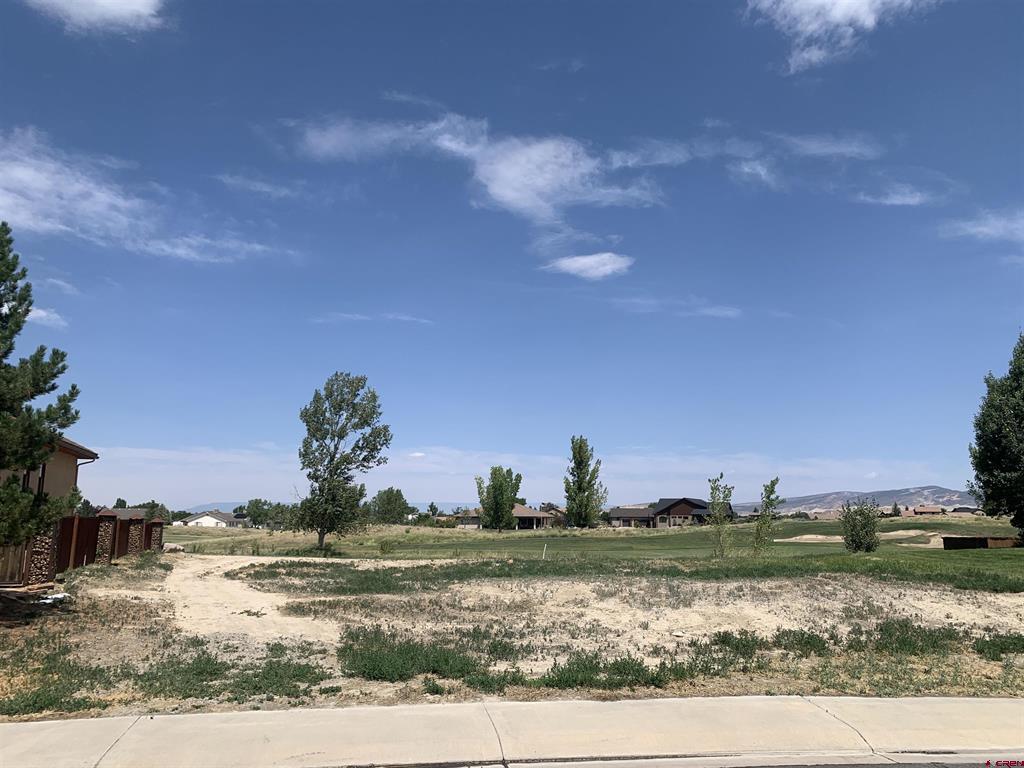 Lot 2305 Painted Wall Lane Property Photo 1
