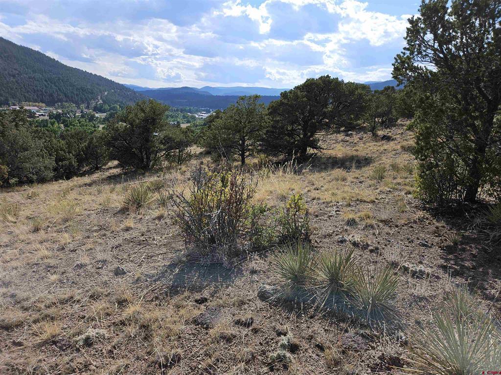 404 Vista De Verde Circle Property Photo 7