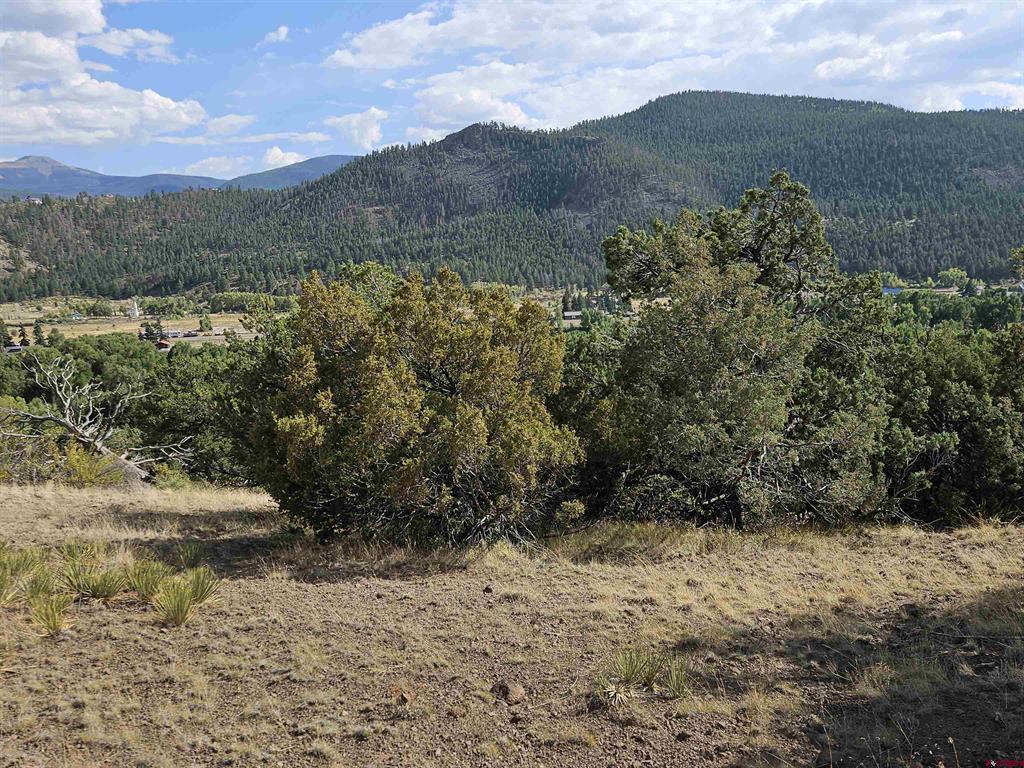 404 Vista De Verde Circle Property Photo 10