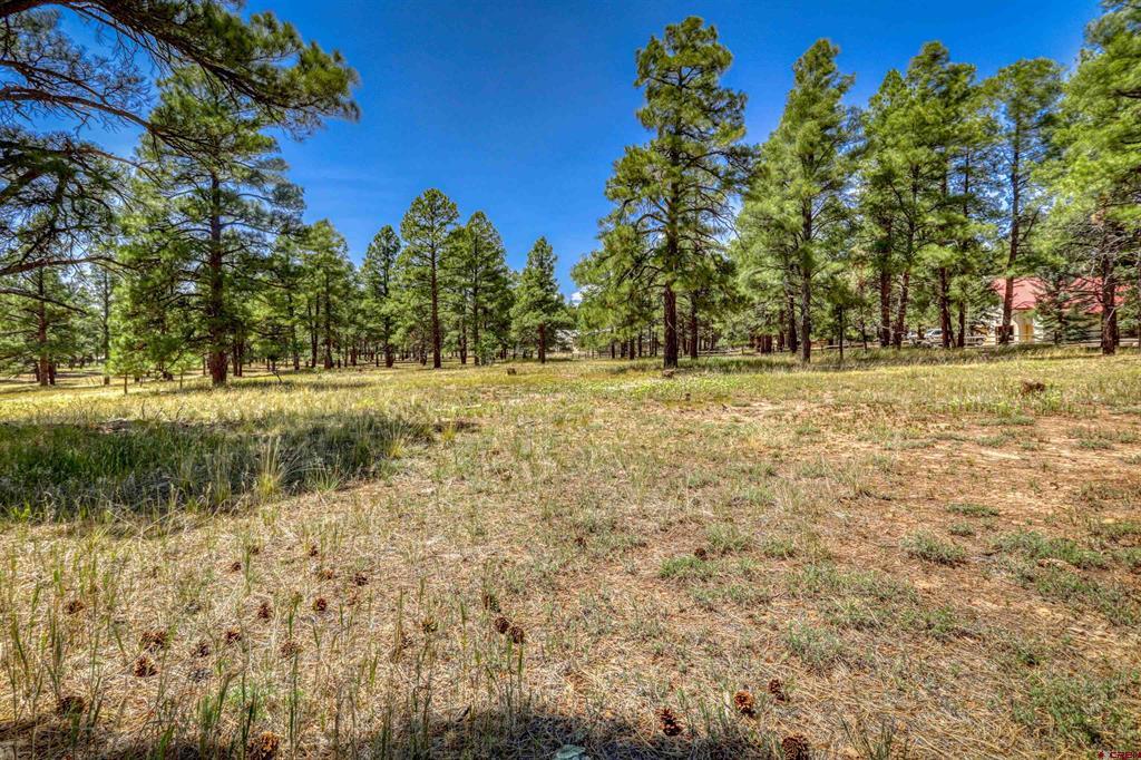 86 Hackamore Place Property Photo 1