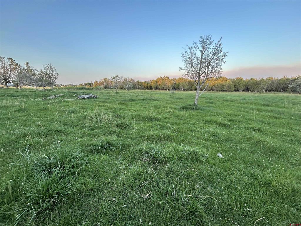 Tract 7 Road W.5 Property Photo 9