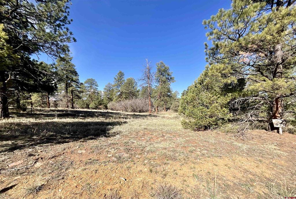 Tbd S Badger Trail Property Photo 1