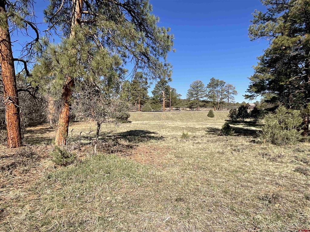 Tbd S Badger Trail Property Photo 2