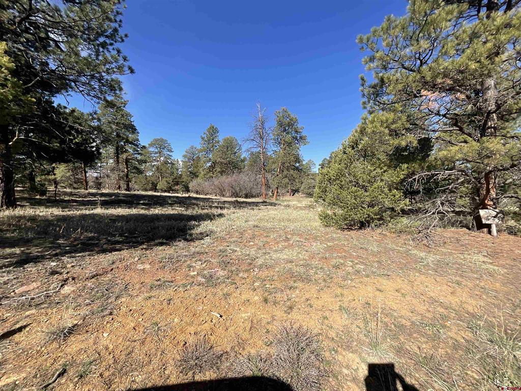 Tbd S Badger Trail Property Photo 3