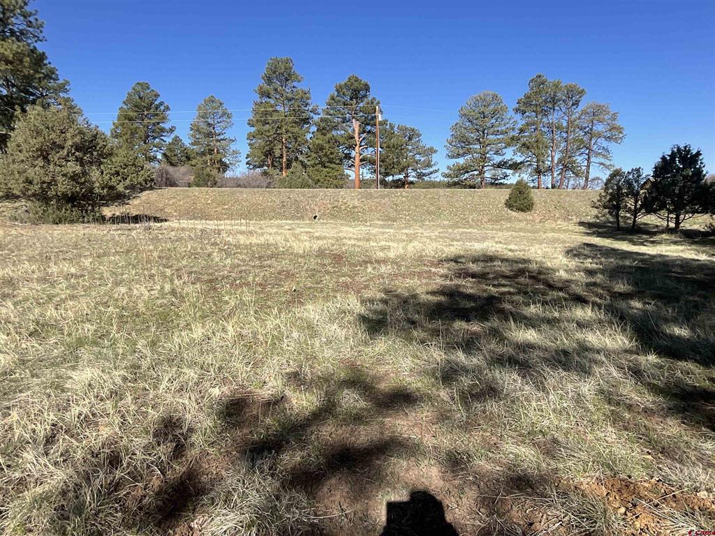 Tbd S Badger Trail Property Photo 4