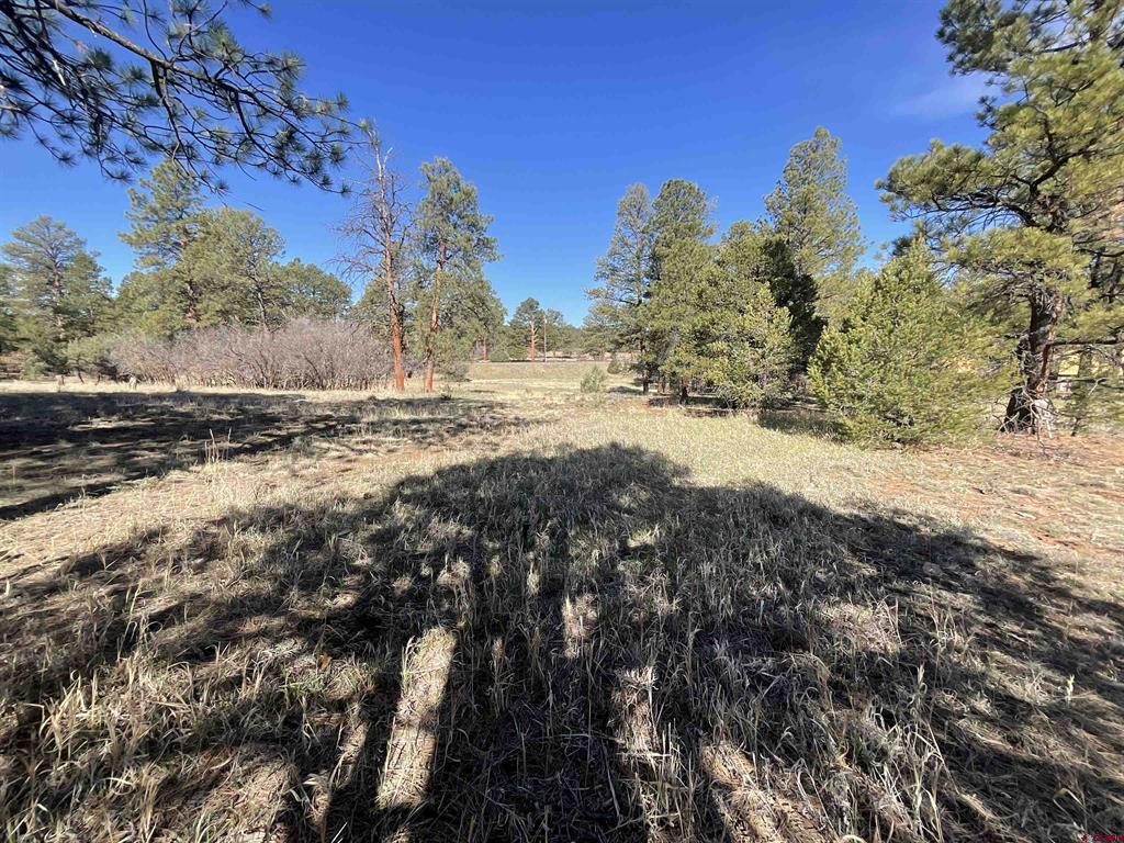Tbd S Badger Trail Property Photo 5