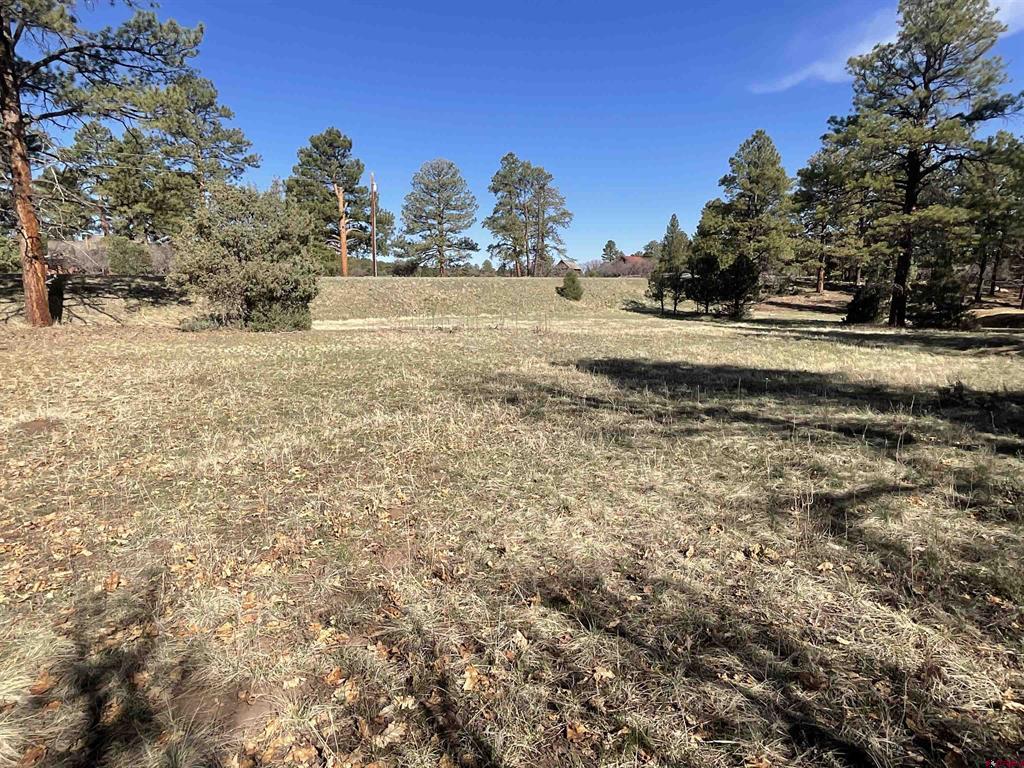 Tbd S Badger Trail Property Photo 6