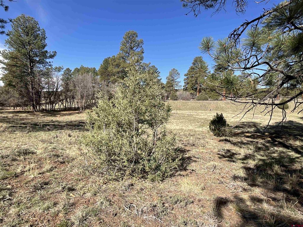 Tbd S Badger Trail Property Photo 7