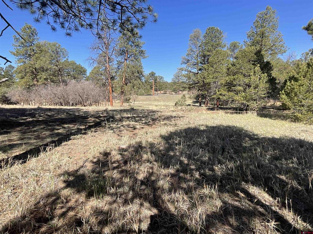 Tbd S Badger Trail Property Photo 8