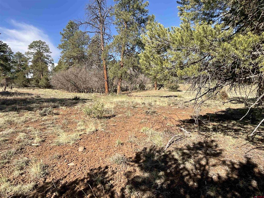 Tbd S Badger Trail Property Photo 9