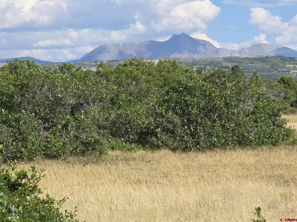 Tbd Lone Cone Meadows Lane Property Photo 4