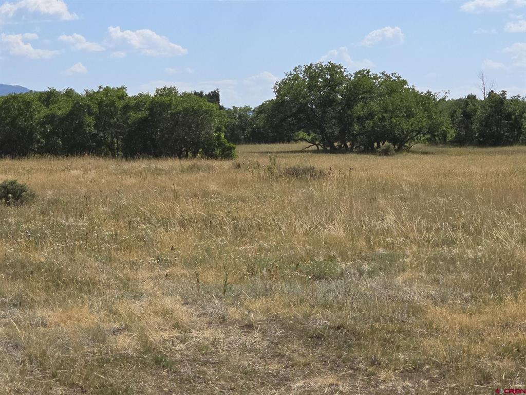 Tbd Lone Cone Meadows Lane Property Photo 8
