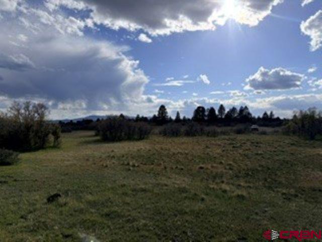 Tbd Lone Cone Meadows Lane Property Photo 9
