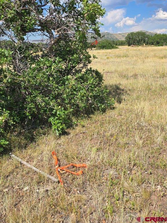 Tbd Lone Cone Meadows Lane Property Photo 15