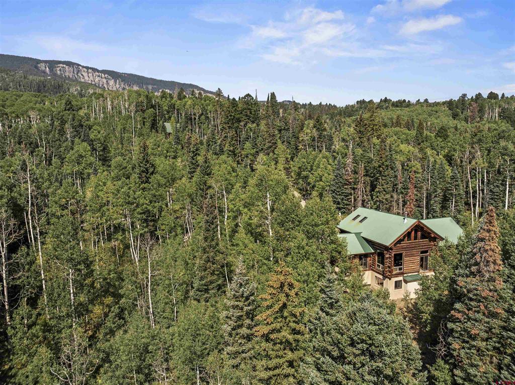 193 Bear Trail Property Photo 37