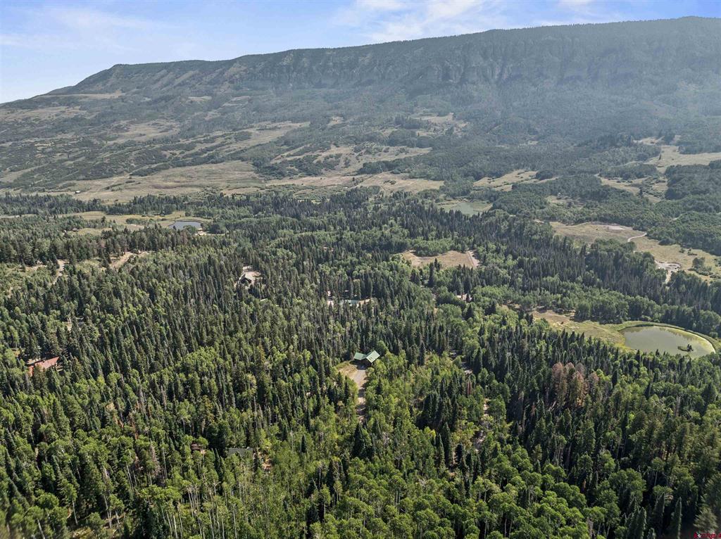 193 Bear Trail Property Photo 39