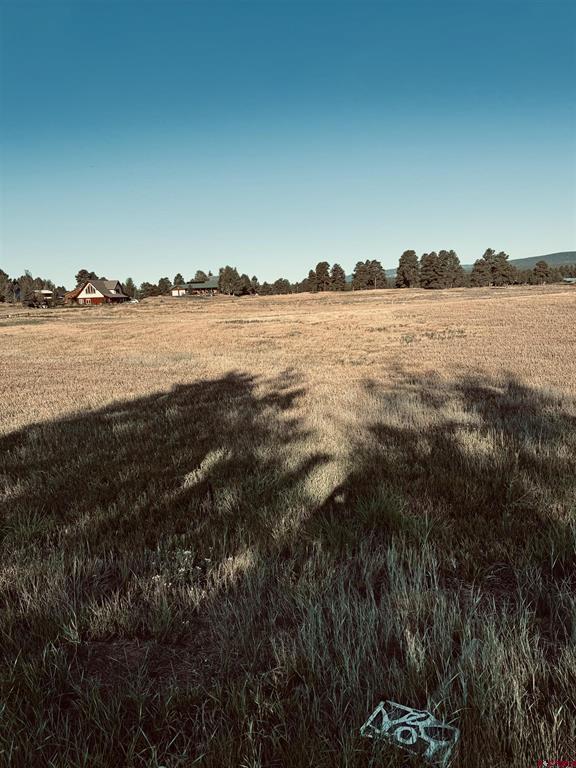31 Capstone Circle Property Photo 7
