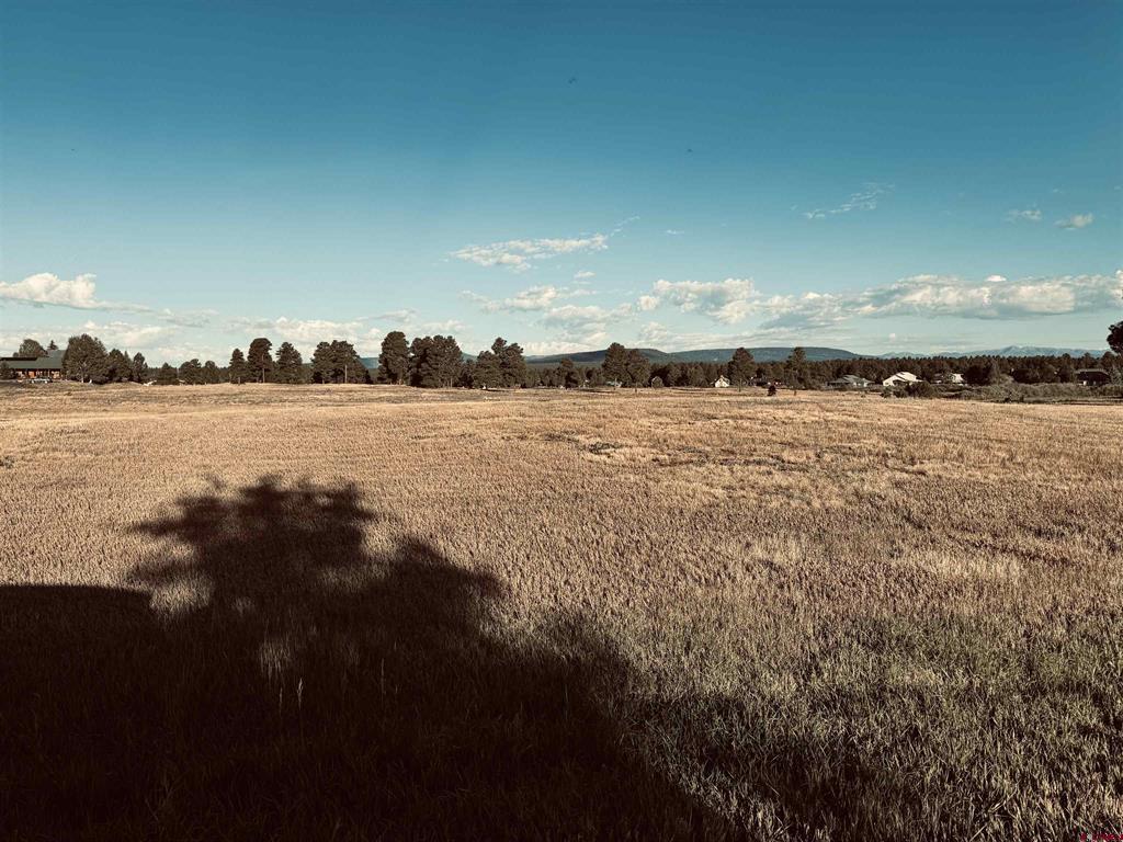 31 Capstone Circle Property Photo 8