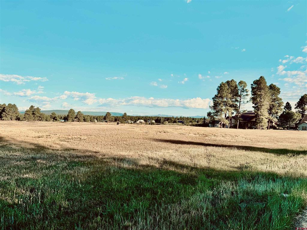 31 Capstone Circle Property Photo 9