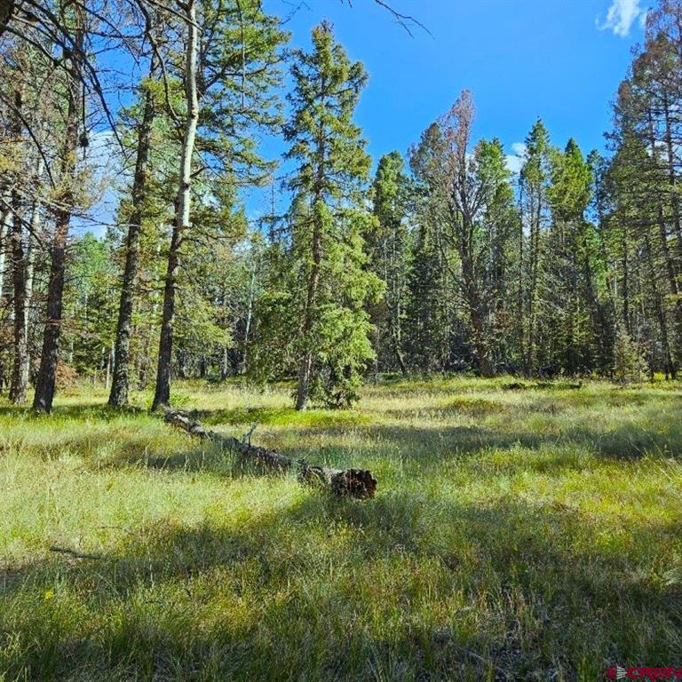 282 Aspen Trail Property Photo 2