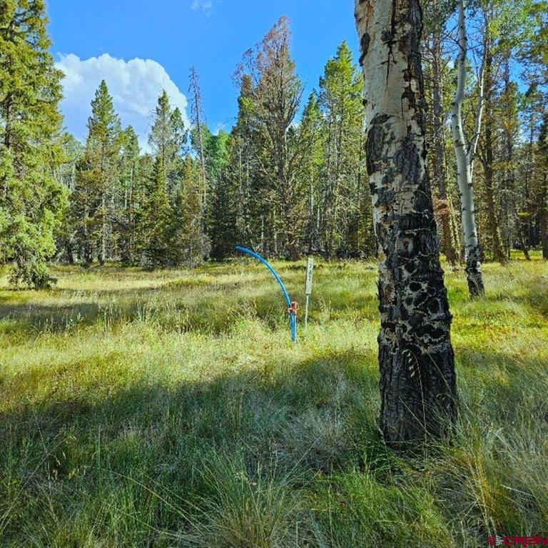 282 Aspen Trail Property Photo 3