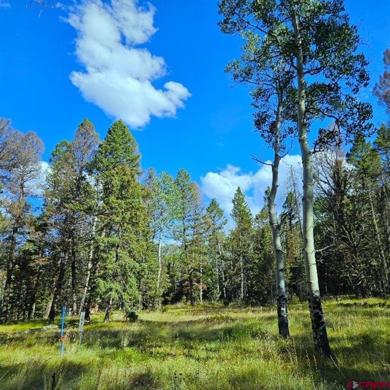 282 Aspen Trail Property Photo 5