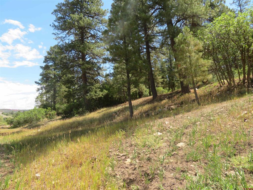 397 & 417 River Run Drive Property Photo 22