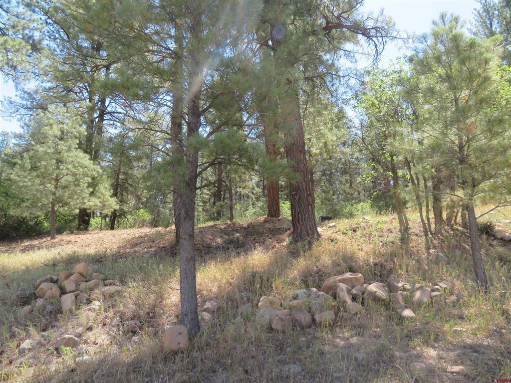 397 & 417 River Run Drive Property Photo 23