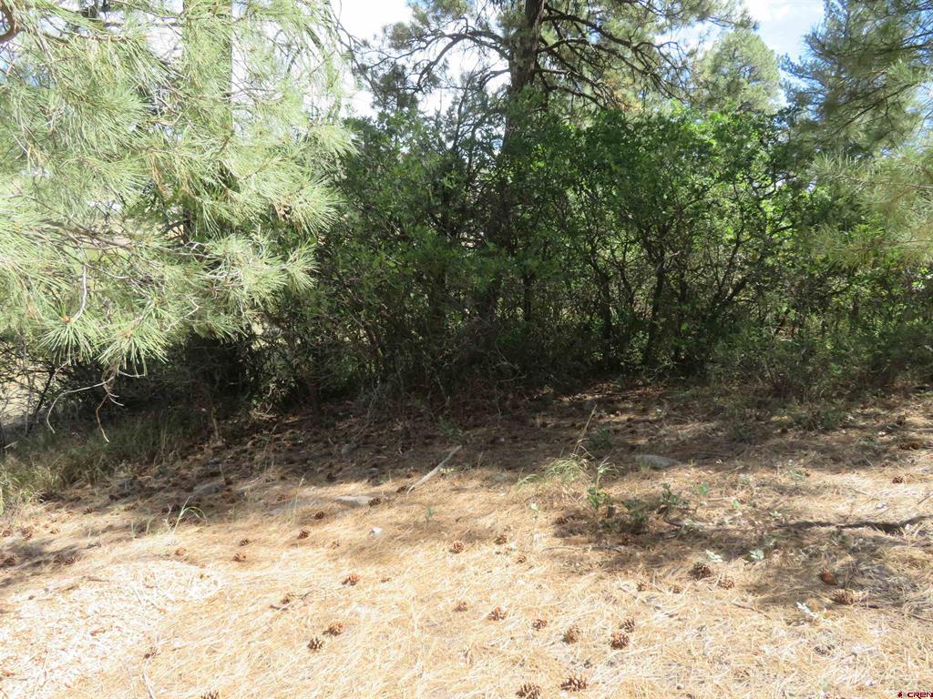 397 & 417 River Run Drive Property Photo 26