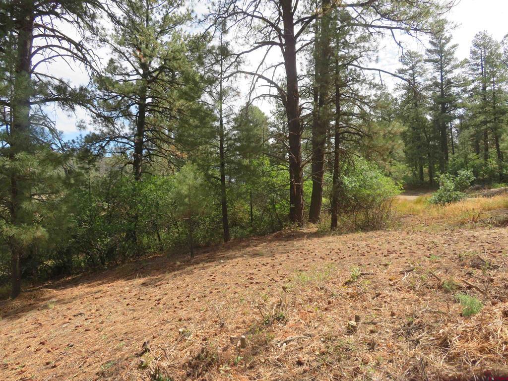 397 & 417 River Run Drive Property Photo 34