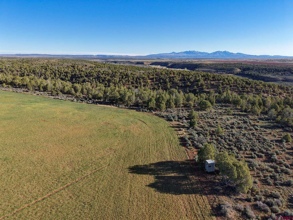 Tbdwp2 County Road 106 Property Photo 8
