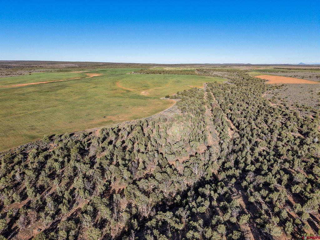 Tbdwp2 County Road 106 Property Photo 14