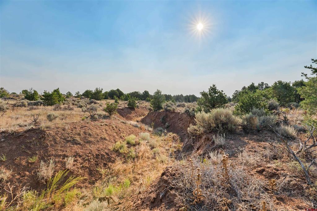 Tbdwp2 County Road 106 Property Photo 23